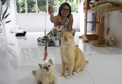 Customer testimonial video