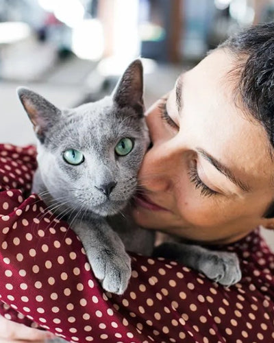 Customer testimonial video